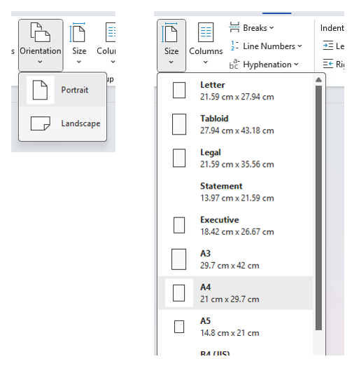 Orientation and Size options